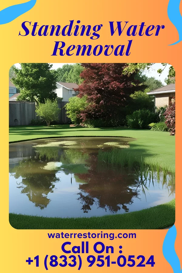 Standing Water Removal in Atkinson, NE